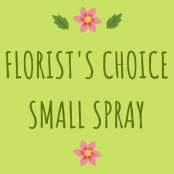 Florist's Choice Small Funeral Spray